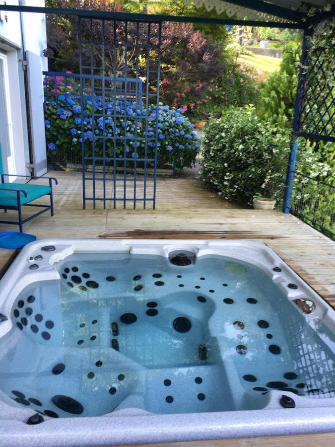 Les Gites De La Maison Bleue D'Estialescq Екстериор снимка