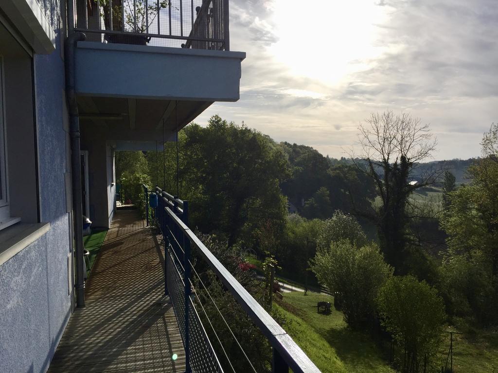 Les Gites De La Maison Bleue D'Estialescq Екстериор снимка